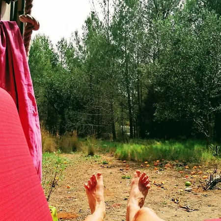אוהל מפואר Forrest For Camping With Container