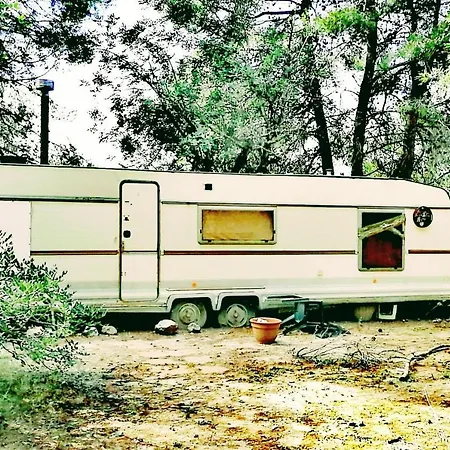 Forrest For Camping With Container אוהל מפואר *