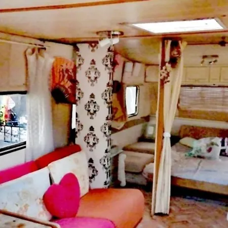 אוהל מפואר Forrest For Camping With Container *