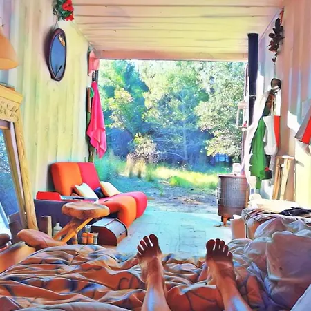 Forrest For Camping With Container אוהל מפואר