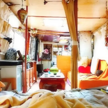 Forrest For Camping With Container